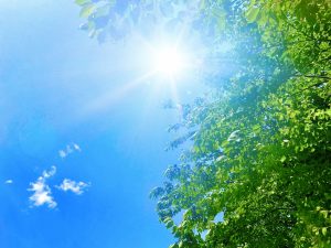 熱中症対策に効果的なリフォームで夏を快適に過ごそう①
